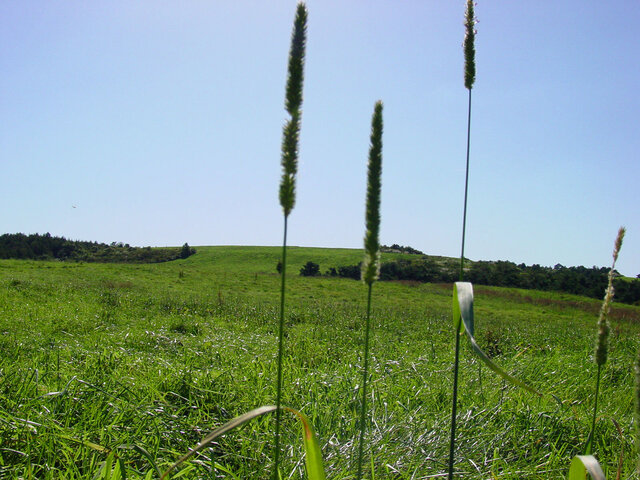 20250721a.jpg