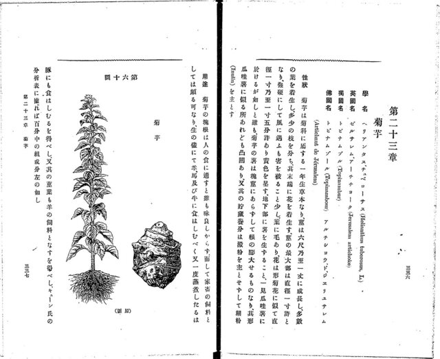 『食用作物各論』