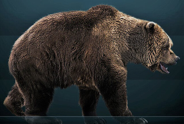 ホラアナグマ想像図