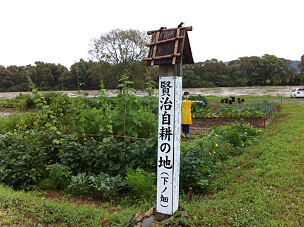 下ノ畑（2010）