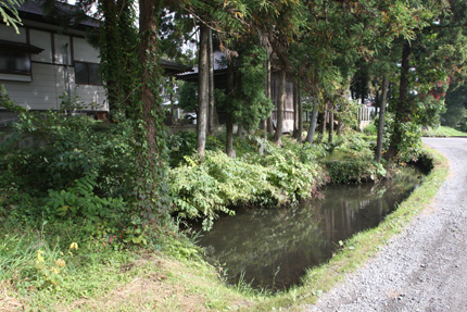 熊野神社の南の沼