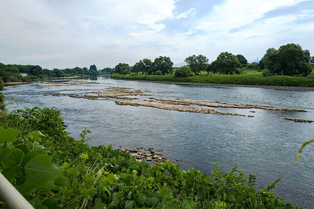 20250727a.jpg