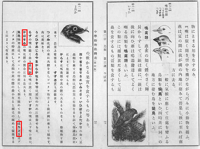『中学動物教科書』第4版