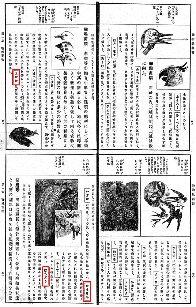 『動物教科書』