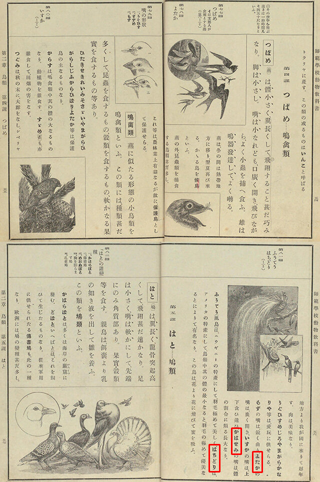 『師範学校動物教科書』