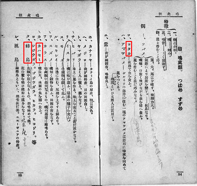 『動物学』