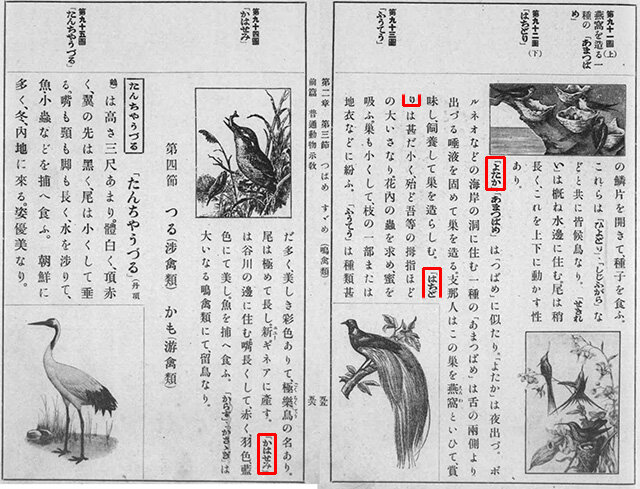『輓近動物学教科書』