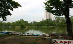 菖蒲池のボート