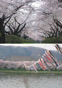 北上展勝地