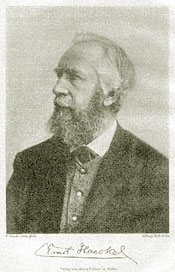 Ernst Haeckel (1834-1919)